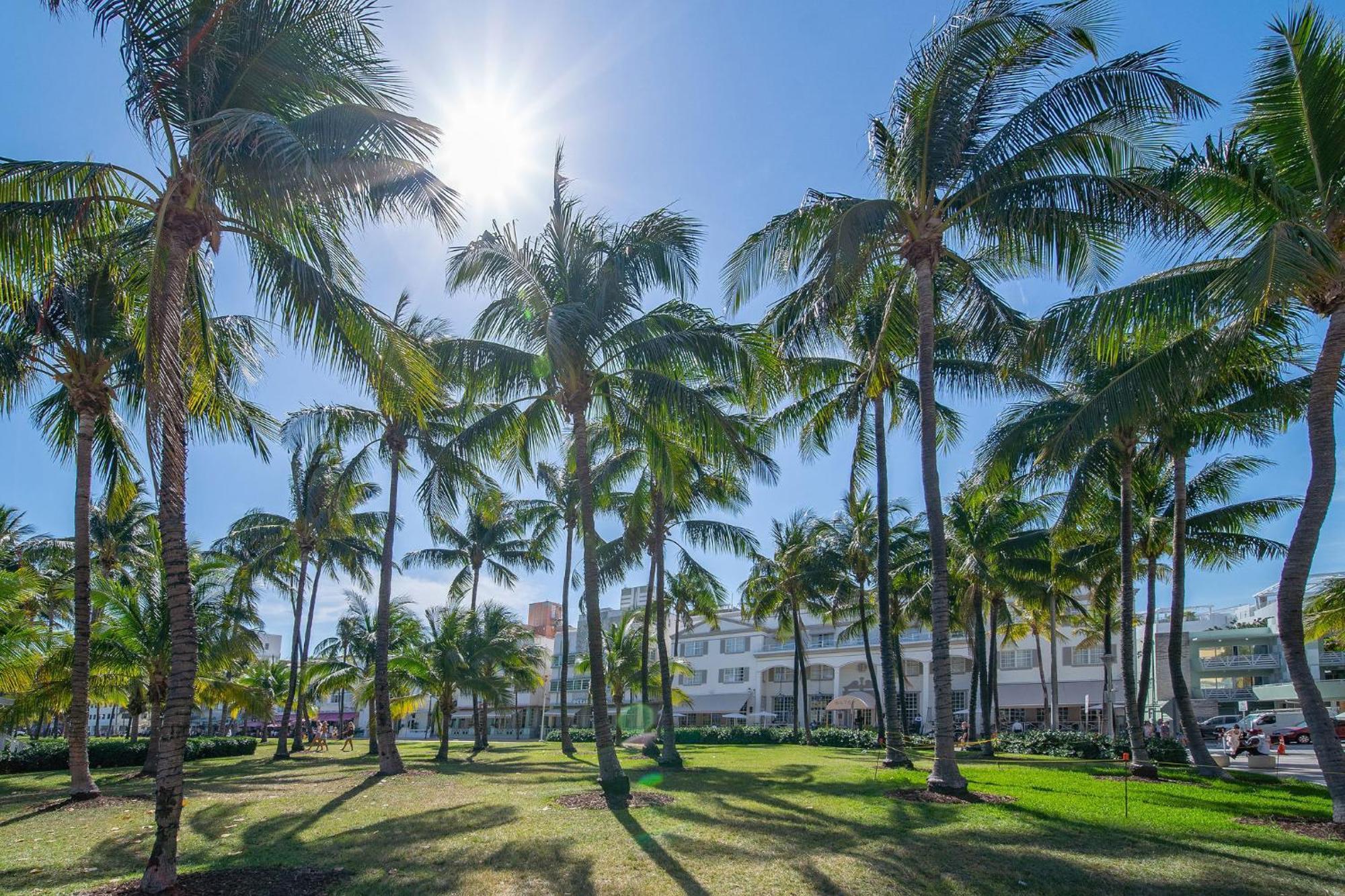 Beachy 1 B/R, W/2 Queen Beds, On Ocean Drive Beach Miami Beach Eksteriør billede